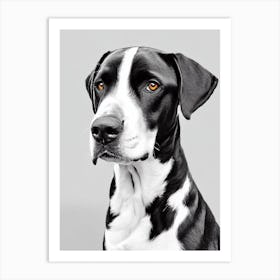 Greater Swiss Mountain Dog B&W Pencil Dog Art Print