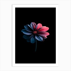 Flower On A Black Background 1 Art Print