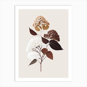 Hydrangea Root Spices And Herbs Retro Minimal 5 Art Print