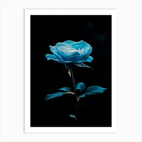 Blue Rose 1 Art Print