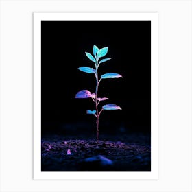 Plant Growing In The Dark 1 Art Print