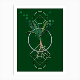 Vintage Date Palm Tree copy Botanical with Geometric Line Motif and Dot Pattern n.0085 Art Print