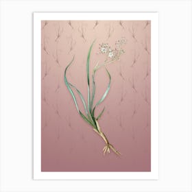Vintage Phalangium Bicolor Botanical on Dusty Pink Pattern n.0775 Art Print