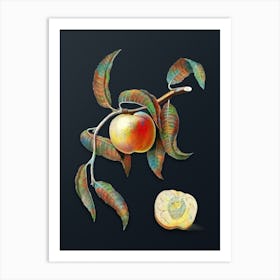 Vintage Peach Botanical Watercolor Illustration on Dark Teal Blue n.0964 Art Print