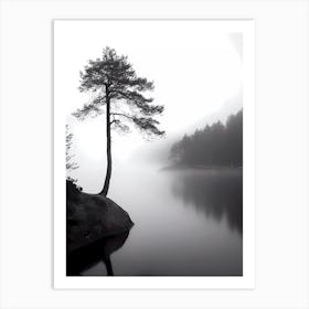 Lone Tree In Mist Art Print