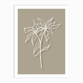 Lily Of The Valley Art Print