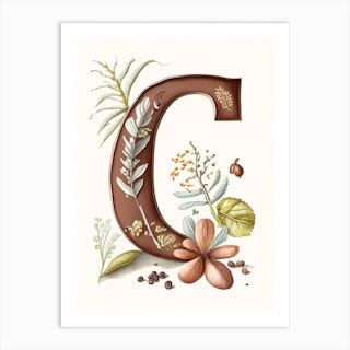 Chloe - Letter C Logo by Tenuart