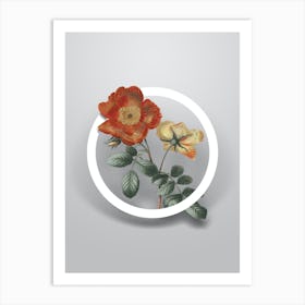 Vintage Sweetbriar Rose Minimalist Floral Geometric Circle on Soft Gray n.0304 Art Print