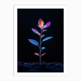 Plant In The Dark 39 Art Print