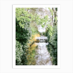 Spring is in the air | Bridge in the park | The Netherlands Art Print