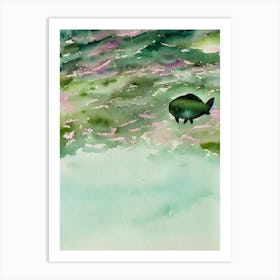 Sea Pig Storybook Watercolour Art Print