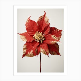 Pressed Flower Botanical Art Poinsettia 2 Art Print