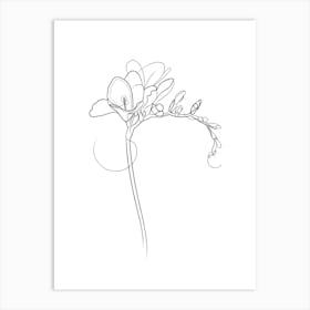 Freesia Flowers Art Print