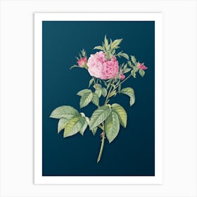 Vintage Pink Agatha Rose Botanical Art on Teal Blue n.0812 Art Print