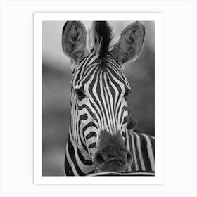 Black & White Zebra Portrait Art Print