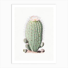 Mammillaria Cactus Marker Art 2 Art Print