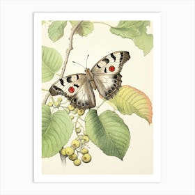 Storybook Animal Watercolour Butterfly 1 Art Print