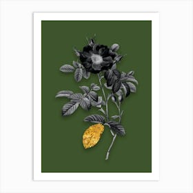 Vintage Red Portland Rose Black and White Gold Leaf Floral Art on Olive Green n.0852 Art Print