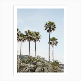 Palmtrees Of California Art Print