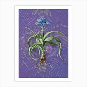 Vintage Iris Scorpiodes Botanical Illustration on Veri Peri n.0094 Art Print