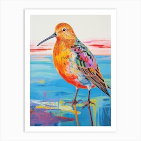 Colourful Bird Painting Dunlin 1 Art Print