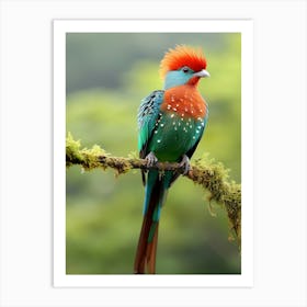 Feathers of the Forest: Quetzal Jungle Bird Print Art Print