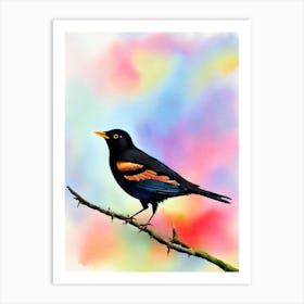 Blackbird Watercolour Bird Art Print