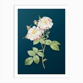 Vintage White Damask Rose Botanical Art on Teal Blue n.0079 Art Print