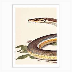 Coastal Taipan Snake Vintage Art Print
