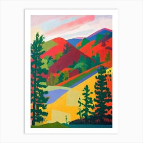 Sequoia National Park United States Of America Abstract Colourful Art Print