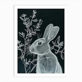 Blanc De Hotot Rabbit Minimalist Illustration 2 Art Print