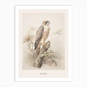 Vintage Bird Drawing Falcon 1 Poster Art Print