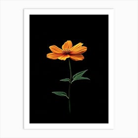 Single Orange Flower 12 Art Print