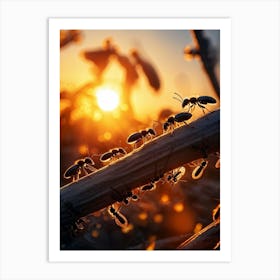 Ant Colony Collaboratively Foraging Under The Glowing Blaze Of A Setting Sun With Elongated Shadows (2) 2 Art Print