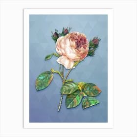 Vintage Centifolia Roses Botanical Art on Summer Song Blue Art Print