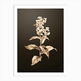 Gold Botanical White Gillyflower Bloom on Chocolate Brown n.4638 Art Print
