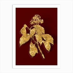 Vintage Climbing Hydrangea Botanical in Gold on Red n.0545 Art Print