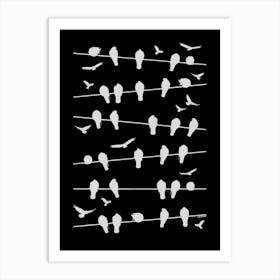 Birds on lines - White Art Print