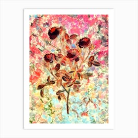 Impressionist Burgundian Rose Botanical Painting in Blush Pink and Gold Art Print