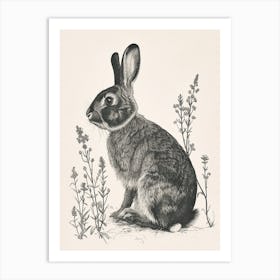 American Sable Blockprint Rabbit Illustration 6 Art Print