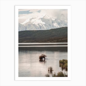 Moose In A Lake Art Print