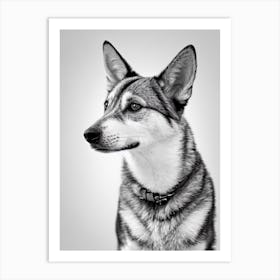 Swedish Vallhund B&W Pencil Dog Art Print