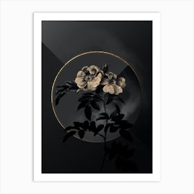 Shadowy Vintage Shining Rosa Lucida Botanical in Black and Gold n.0056 Art Print
