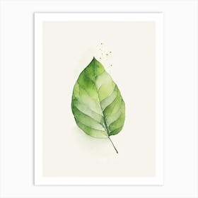 Avocado Leaf Minimalist Watercolour Art Print