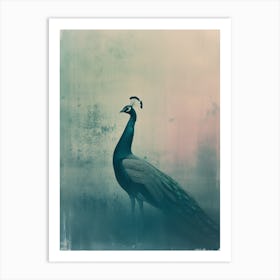 Vintage Turquoise Photo Of A Peacock Profile Art Print