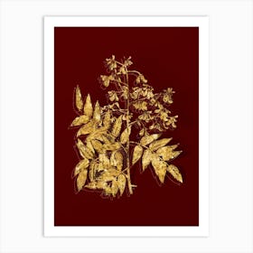 Vintage Japanese Pagoda Tree Botanical in Gold on Red n.0043 Art Print