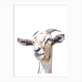 Goat Portrait Art Print