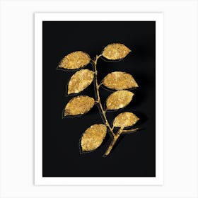 Vintage Eared Willow Botanical in Gold on Black n.0101 Art Print