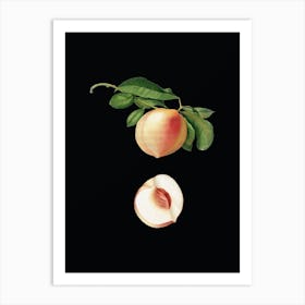 Vintage Peach Botanical Illustration on Solid Black n.0732 Art Print