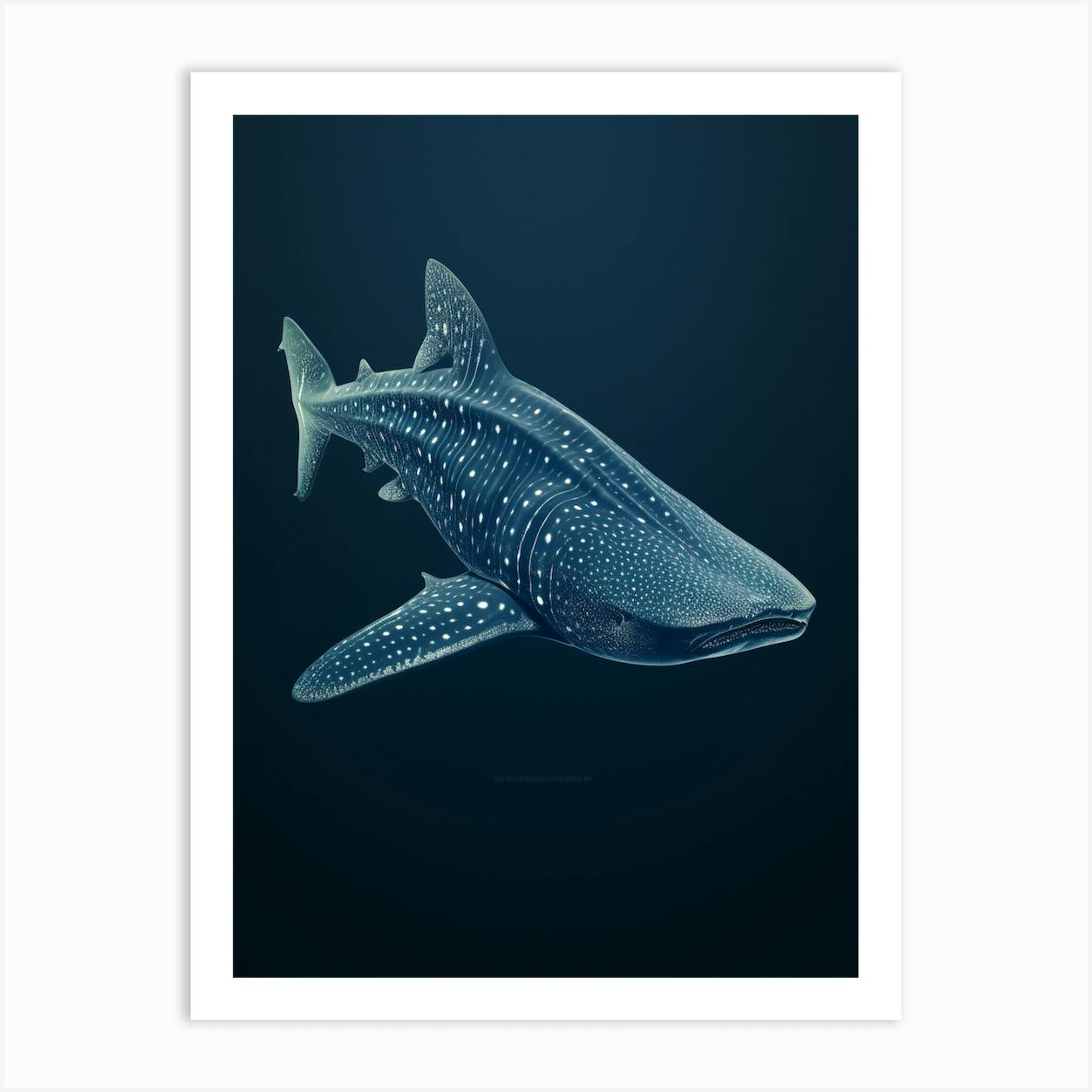 Premium Vector | Cute whale shark cartoon character sea animal underwater  illustration and vector
